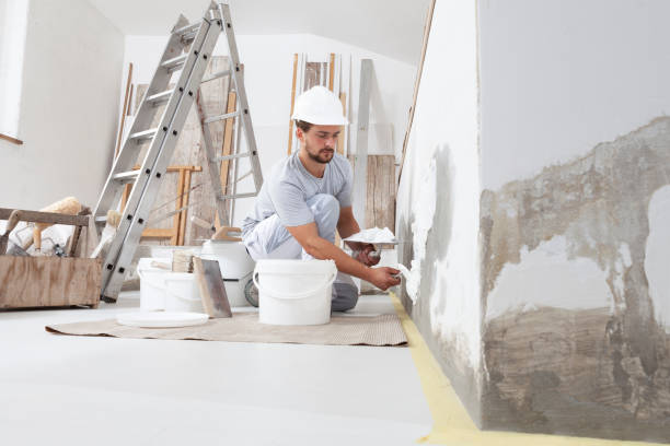 Best Residential Painting  in Hollister, MO