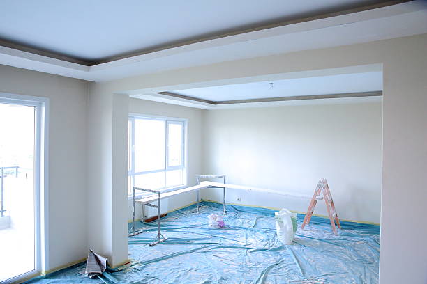 Best Drywall Texturing  in Hollister, MO